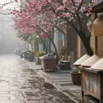 Minh họa: Thời tiết miền Bắc tháng 2 như thế nào: se lạnh, mưa phùn xen nắng xuân