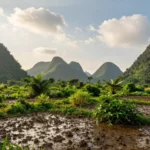 Minh họa: Thời tiết miền Bắc tháng 5 như thế nào: nền nhiệt 25-32 độ c, mưa rào xen kẽ nắng