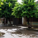 Minh họa: Thời tiết miền Bắc tháng 8 như thế nào: nắng nóng xen mưa rào, chuẩn bị đồ gì?