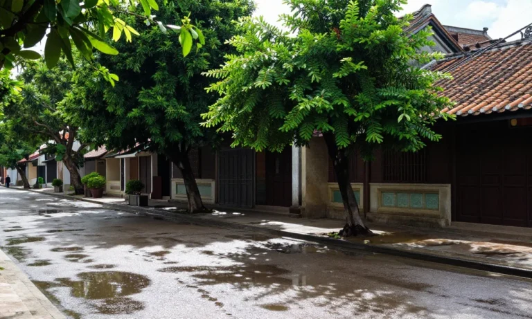 Minh họa: Thời tiết miền Bắc tháng 8 như thế nào: nắng nóng xen mưa rào, chuẩn bị đồ gì?