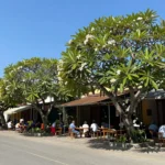 Minh họa: Thời tiết miền Nam tháng 12 như thế nào mùa khô bắt đầu với nền nhiệt ổn định 25-32°C