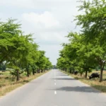 Minh họa: Thời tiết miền Nam tháng 3 như thế nào