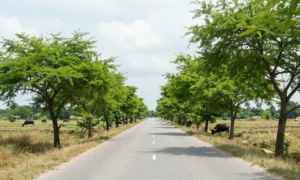 Minh họa: Thời tiết miền Nam tháng 3 như thế nào