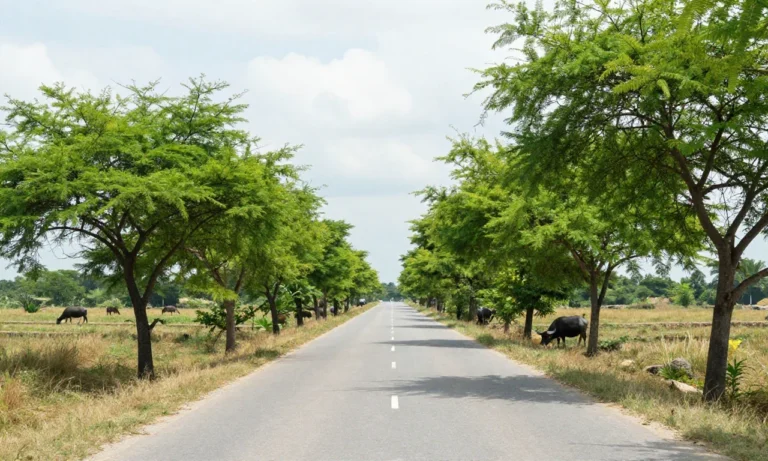 Minh họa: Thời tiết miền Nam tháng 3 như thế nào