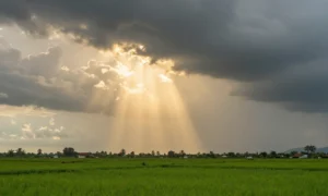 Minh họa: Thời tiết miền Nam tháng 6 như thế nào: Nắng nóng xen mưa dông, du khách cần lưu ý gì