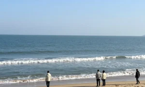 Minh họa: Thời tiết miền trung tháng 1 như thế nào | du lịch đà nẵng tháng 1 mát mẻ, ít mưa