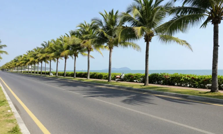 Minh họa: Thời tiết miền trung tháng 2 như thế nào: Đà Nẵng nắng đẹp, Trung Quốc giá rét