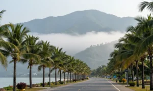 Minh họa: Thời tiết việt nam tháng 1 có gì đặc biệt: nắng ấm miền nam, rét đậm miền bắc