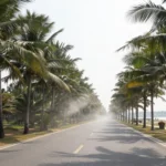 Minh họa: Thời tiết việt nam tháng 8 có gì đặc biệt: nền nhiệt trung bình 30 độ c khiến oi bức kéo dài
