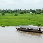Minh họa: Vĩnh Long mùa nào đẹp nhất trong năm? Tháng 9-11 ngắm nước nổi, tháng 5-8 hái trái cây