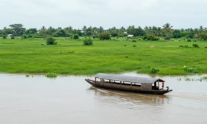 Minh họa: Vĩnh Long mùa nào đẹp nhất trong năm? Tháng 9-11 ngắm nước nổi, tháng 5-8 hái trái cây