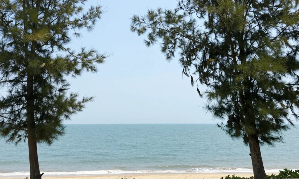 qcc image d7MSEF