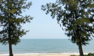 qcc image d7MSEF